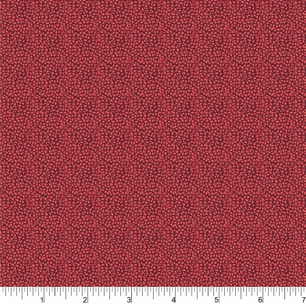 COTTON - Phoebe Fabrics - Bright Poms - Pom Seeds