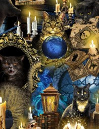 COTTON - Timeless Treasures - Mystical Meow - Spooky Black Cats