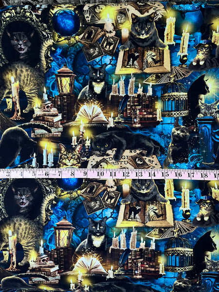 COTTON - Timeless Treasures - Mystical Meow - Spooky Black Cats
