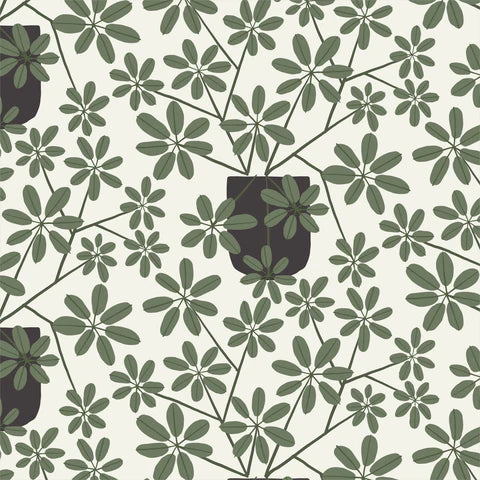 ORGANIC COTTON - Cloud 9 fabrics - Planted - Offshoot