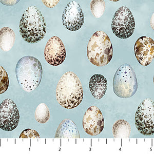 COTTON - Northcott - Feathered Nest - Pale Blue Eggs